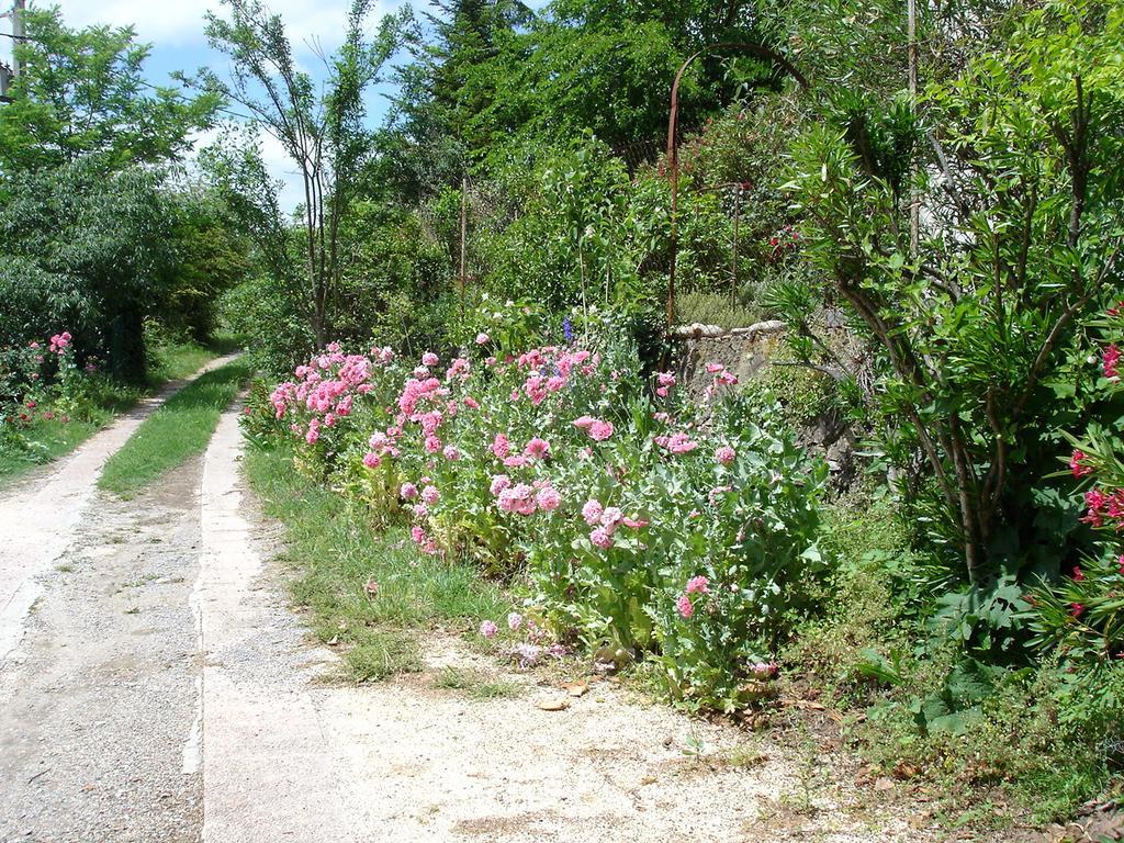 La Colline Bleue Bed & Breakfast Banne Exterior foto